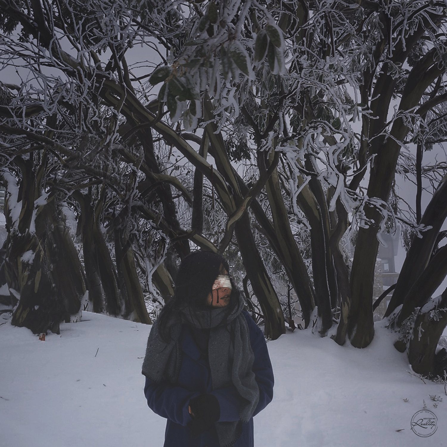 Absconding Reality, plate II