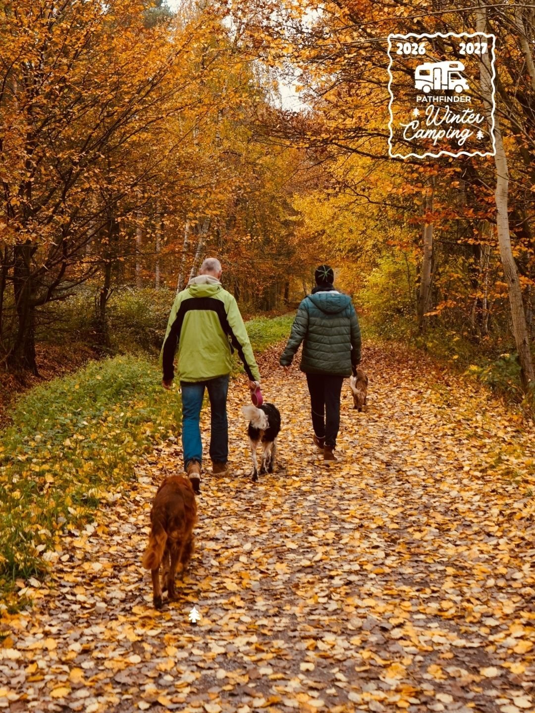Winter Camping social ad with a couple walking a dog on an autumn path