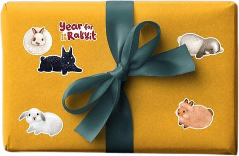 The Northern Kid gift box with animal stickers